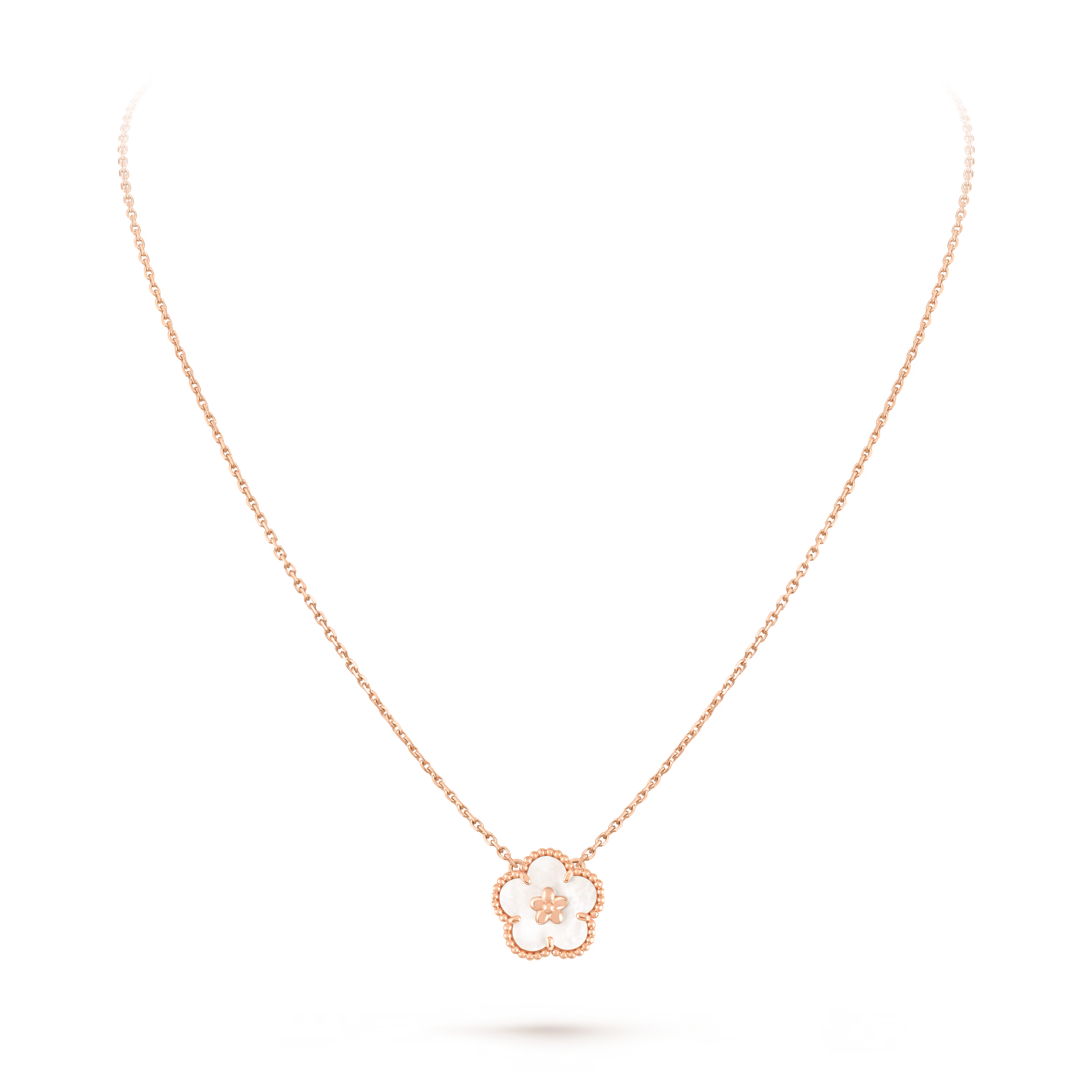 eY3t5nO-m0aGfTwaipYzYg_png.png