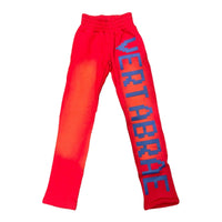 Vertabrae C-2 Pantalons de survêtement Lavés (Rouge et Bleu)